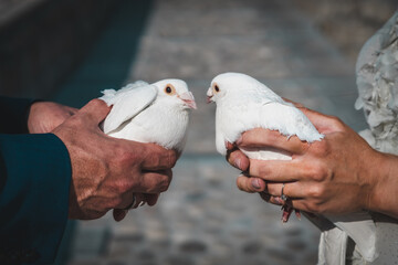 Bride and groom holding white pigeons at wedding day.