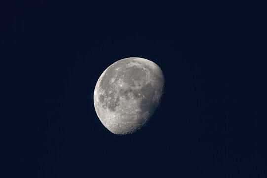 Image of the moon in the waning gibbous phase, approximately 80% visible, approaching the last quarter. Photo taken from Pasadena in California at dawn.