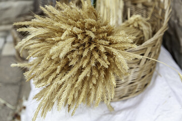 Wheat in a basket