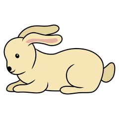 animal rabbit