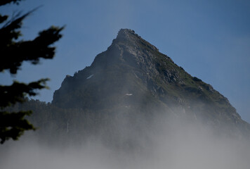 A Mountain peak shrouded in misty clouds int he background and pine trees in shadow in the foreground.