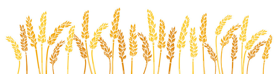 Wheat ear gold engraved border background. Agricultural silhouette press, golden flour production. Cereals ripe spike frame horizontal pattern. Design template farm stencil, organic bread, beer vector
