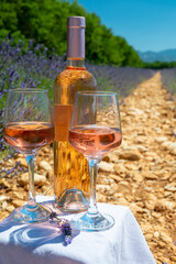 Lavender flowers fields in blossom near Valensole in Provence and glass and bottle of rose wine in sunny day, summer vacation in Provence, France