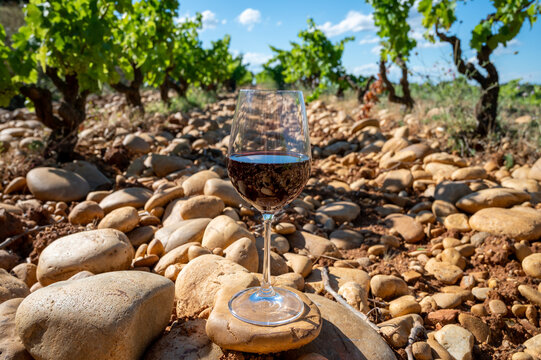 Glass of red dry wine and large pebbles galets and sandstone clay soils on vineyards in Ch&acirc;teauneuf-du-Pape ancient wine making village in France