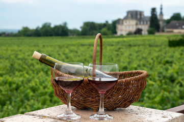 Tasting of red dry pinot noir wine in glass on premier and grand cru vineyards in Burgundy wine...