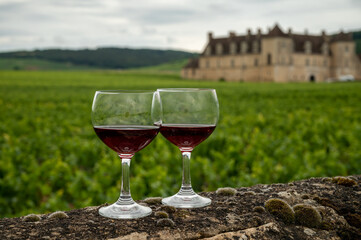 Tasting of red dry pinot noir wine in glass on premier and grand cru vineyards in Burgundy wine making region with chateau on background, France