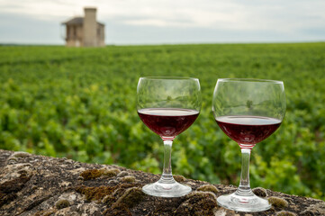 Tasting of red dry pinot noir wine in glass on premier and grand cru vineyards in Burgundy wine making region with chateau on background, France