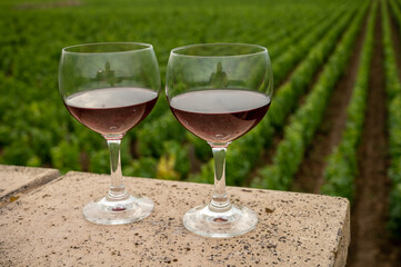 Tasting of red dry pinot noir wine in glass on premier and grand cru vineyards in Burgundy wine making region near Vosne-Romanée village, France