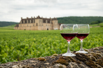 Tasting of red dry pinot noir wine in glass on premier and grand cru vineyards in Burgundy wine...