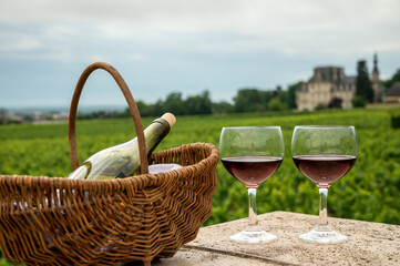 Tasting of red dry pinot noir wine in glass on premier and grand cru vineyards in Burgundy wine...