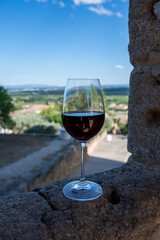 Glass of red dry wine and ruins of medieval castle of Châteauneuf-du-Pape ancient wine making village in France