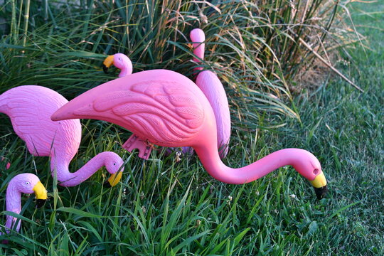 Plastic Pink Flamingo Lawn Decorations