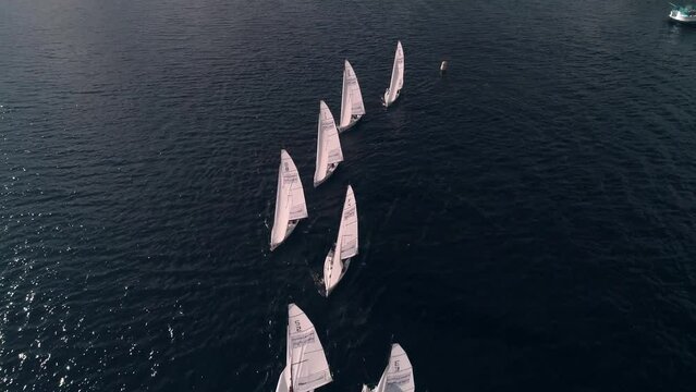 The front aerial view of yachts, racing on the river one each other. yacht championship.