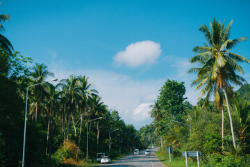 Fototapeta premium Krabi is a southern province in Thailand filled with beautiful natural limestone cliffs, mangrove forests, and more than 150 islands