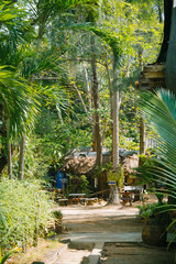 Krabi is a southern province in Thailand filled with beautiful natural limestone cliffs, mangrove...