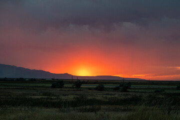 sunset over the field