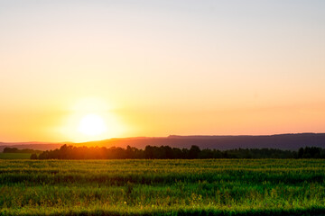 view of the bright yellow, orange disk of the sun at sunset against the background of green grass and trees in fields with low mountains, hills with a cloudless empty, clear sky