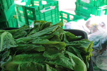 green vegetables for sale