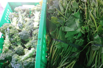 green vegetables for sale
