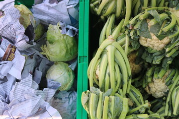 cabbage and cauliflower