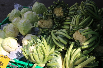 cabbage and cauliflower