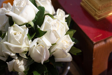 A large number of blooming white roses are arranged in bouquets.