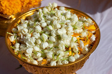 Jasmine flowers on a golden container.