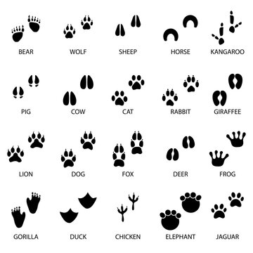 black animal tracks icons. Animal feet silhouette. Vector illustration. Stock image. 