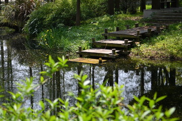 Fototapeta na wymiar a wooden steps by a small river