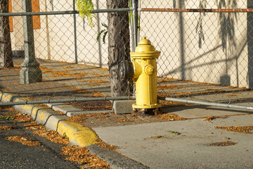 Yellow fire hydrant and chain link fence - Powered by Adobe