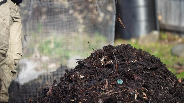 Farmer Turning compost pile, man mixing compost with pitchfork, Thermophile composting full of microorganisms and soil biology and worms.