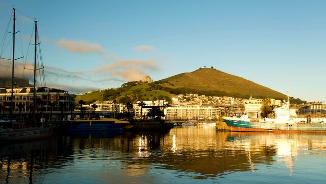 Seal swims in marina at V+A Waterfront, Signal Hill in background; Cape Town