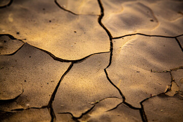 Cracked earth due to drought in warm afternoon light