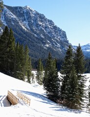 winter mountain scene