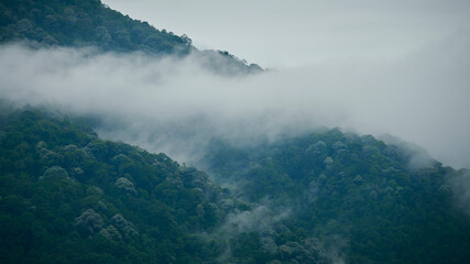 Misty mountain hill view. A panoramic view of beautiful landscapes
