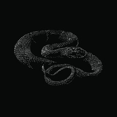 Banded Water Snake hand drawing vector illustration isolated on black background