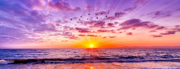 Sunset Ocean Sun Ray Inspirational Colorful Ocean Header Banner Motivational Hope Beautiful Birds