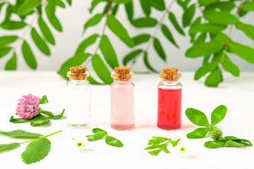 Bottles with flower extracts on a white table with clover flowers and green leaves, natural medicine.