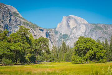 Yosemite National Park is in California’s Sierra Nevada mountains. It’s famed for its giant, ancient sequoia trees, and for Tunnel View, the iconic vista, Upper Yosemite Falls, Yosemite National Park