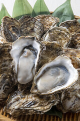 新鮮で美味しい牡蠣