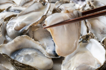 新鮮で美味しい牡蠣