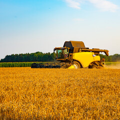 Harvest in Lower Saxony is underway