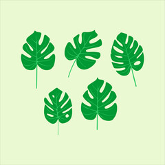 tropical leaves illustration in green color vector element