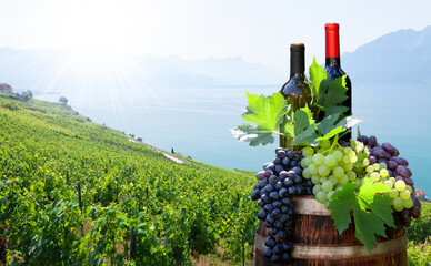 Red and white wine bottles and grapes on wine barrel