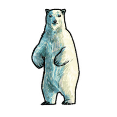 Polar bear