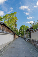 緑 新緑 夏 秋 森 空 青空 もみじ 紅葉 momiji maple 京都 kyoto 日本 japan 秋 autumn autumnleaves 風景 和 和風 寺 お寺 寺院 temple 