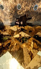 top view from above of sexy young brunette woman, lying dead in black dress in, in front of a wall with golden metal honeycombs