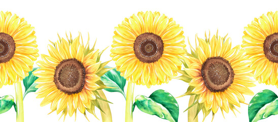 Sunflowers seamless border .Watercolor illustration.Isolated on a white background. For design