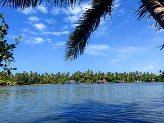 tropical island with palm trees