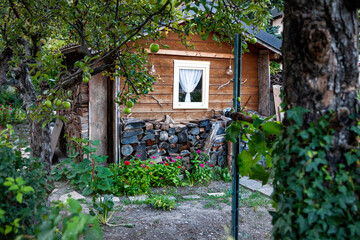 small hut in a lush garden